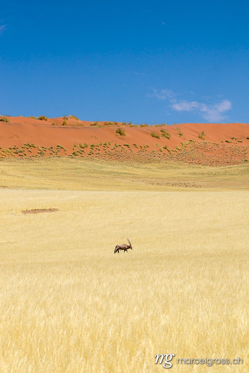. Oryx Sossusvlei. Marcel Gross Photography