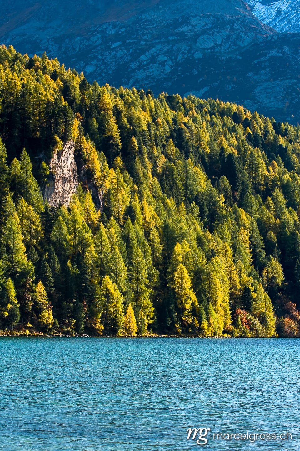 . evening light at Lake Sils in Engadine. Marcel Gross Photography