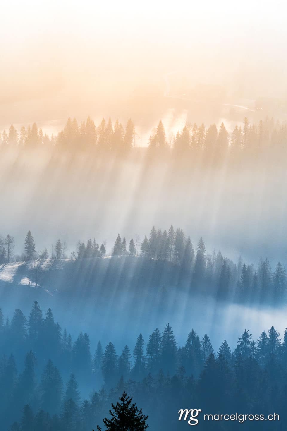 . mystic light in the Emmental forest in winter. Marcel Gross Photography