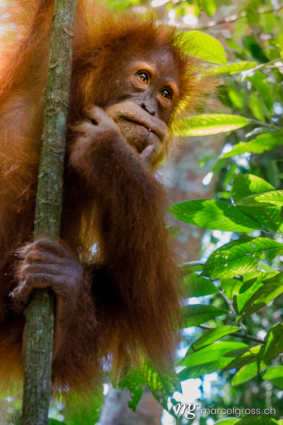 . think about. Marcel Gross Photography