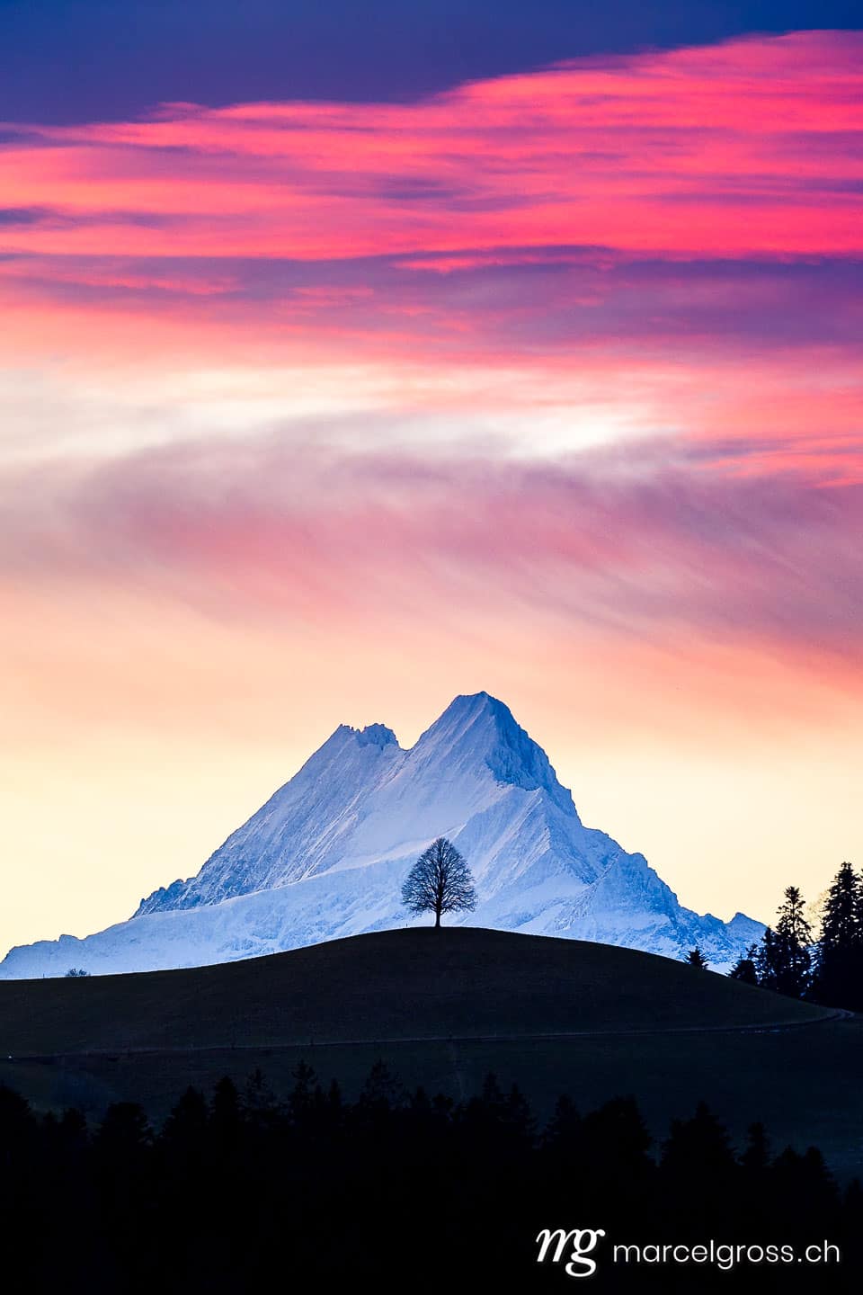 . colorful morning sunrise in Emmental with a single tree on a hill in Emmental in front of Schreckhorn. Marcel Gross Photography