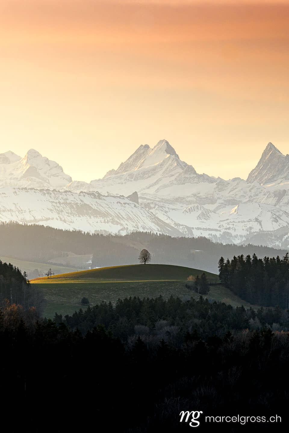 . golden light in the hills of Emmental Valley with Schreckhorn as a backdrop. Marcel Gross Photography