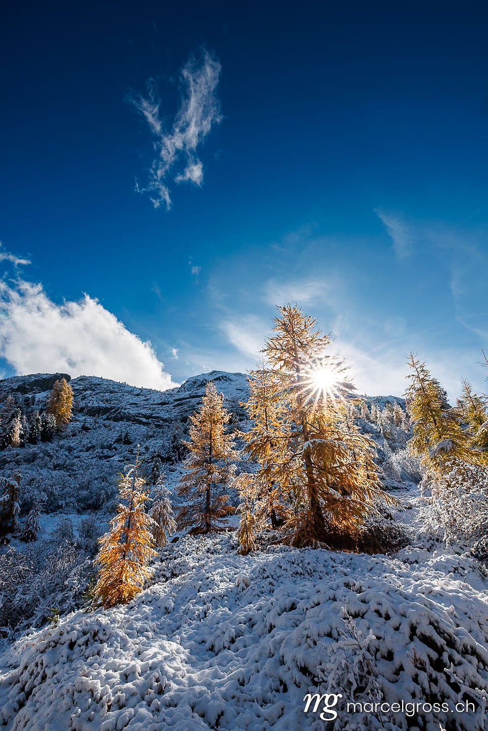 Autumn picture Switzerland. larches in first snow in Engadin, Switzerland. Marcel Gross Photography