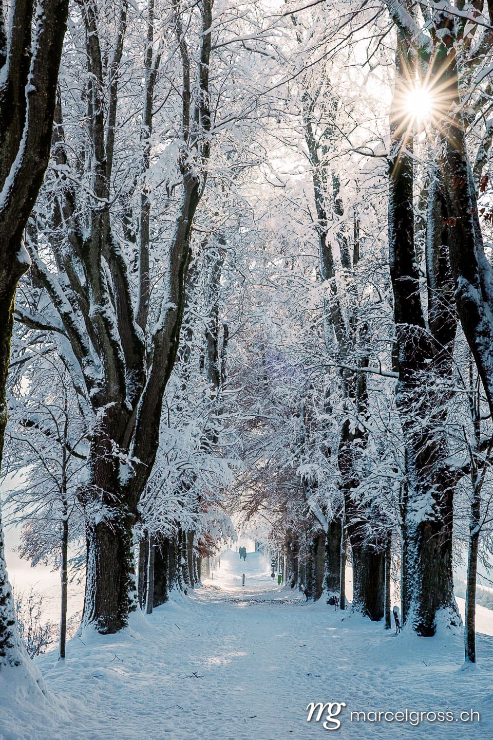 Winter picture Switzerland. . Marcel Gross Photography