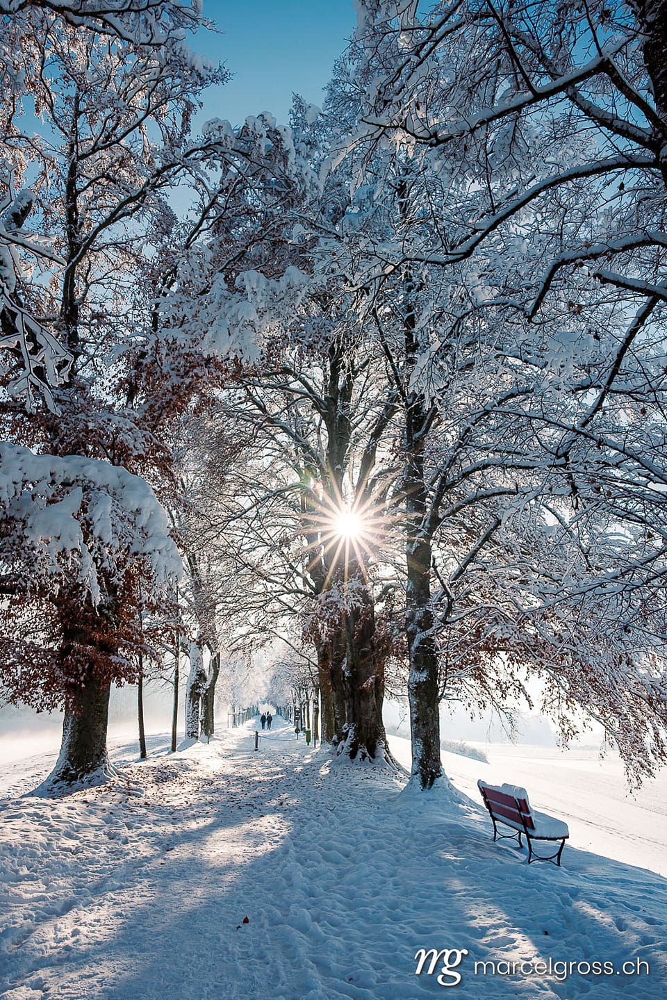 Winter picture Switzerland. . Marcel Gross Photography