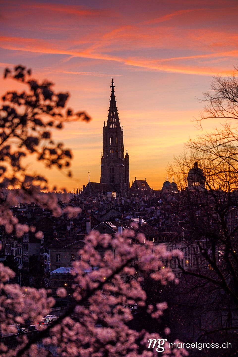 . Sonnenuntergang während Kirschblüte in Bern. Marcel Gross Photography