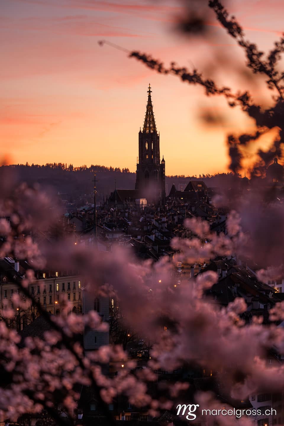 Bern Frühling. Sonnenuntergang während Kirschblüte in Bern. Marcel Gross Photography
