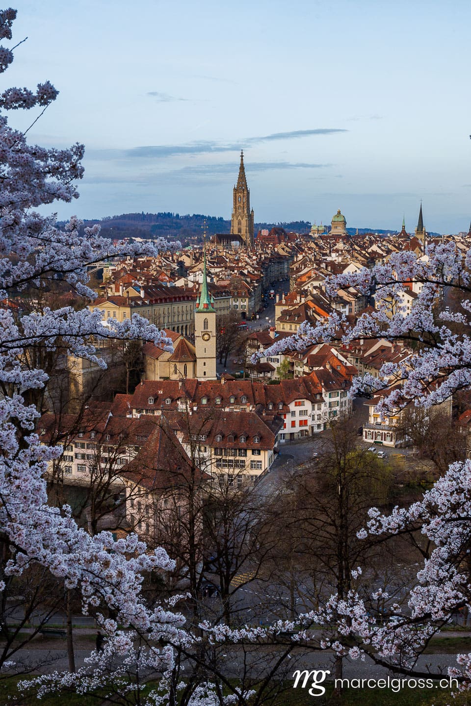 . Berner Altstadt während Kirschblüte im Frühling. Marcel Gross Photography