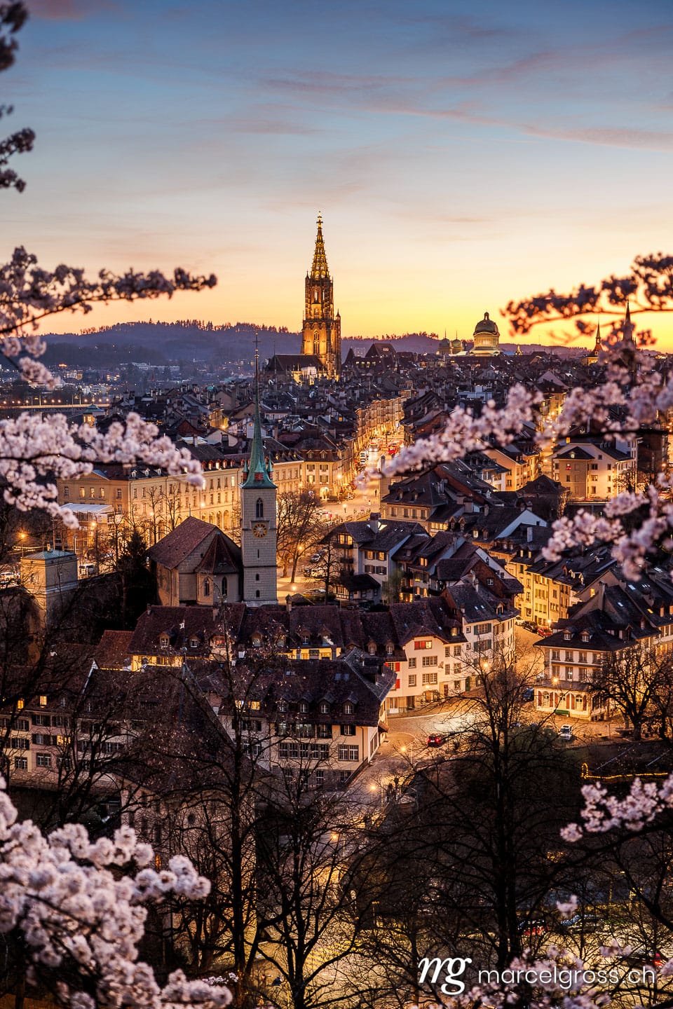 . Sonnenuntergang während Kirschblüte in Bern. Marcel Gross Photography