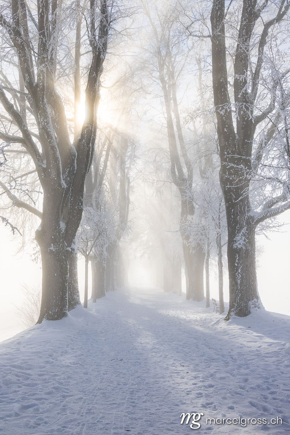 Winter in Switzerland. Marcel Gross Photography