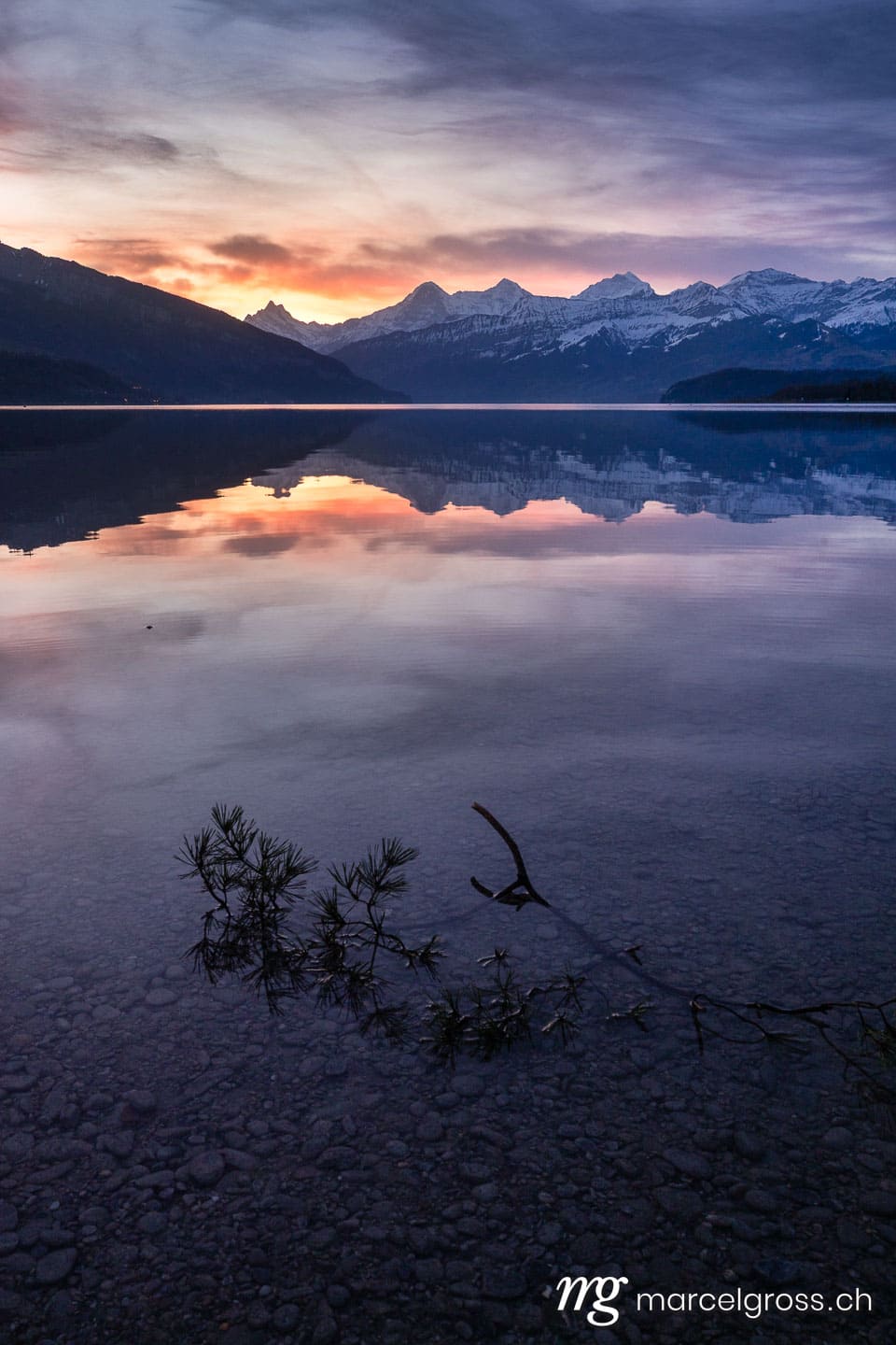 .  (c) Marcel Gross Photography