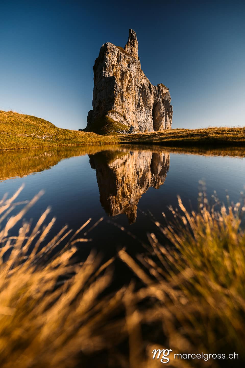 . (c) Marcel Gross Photography