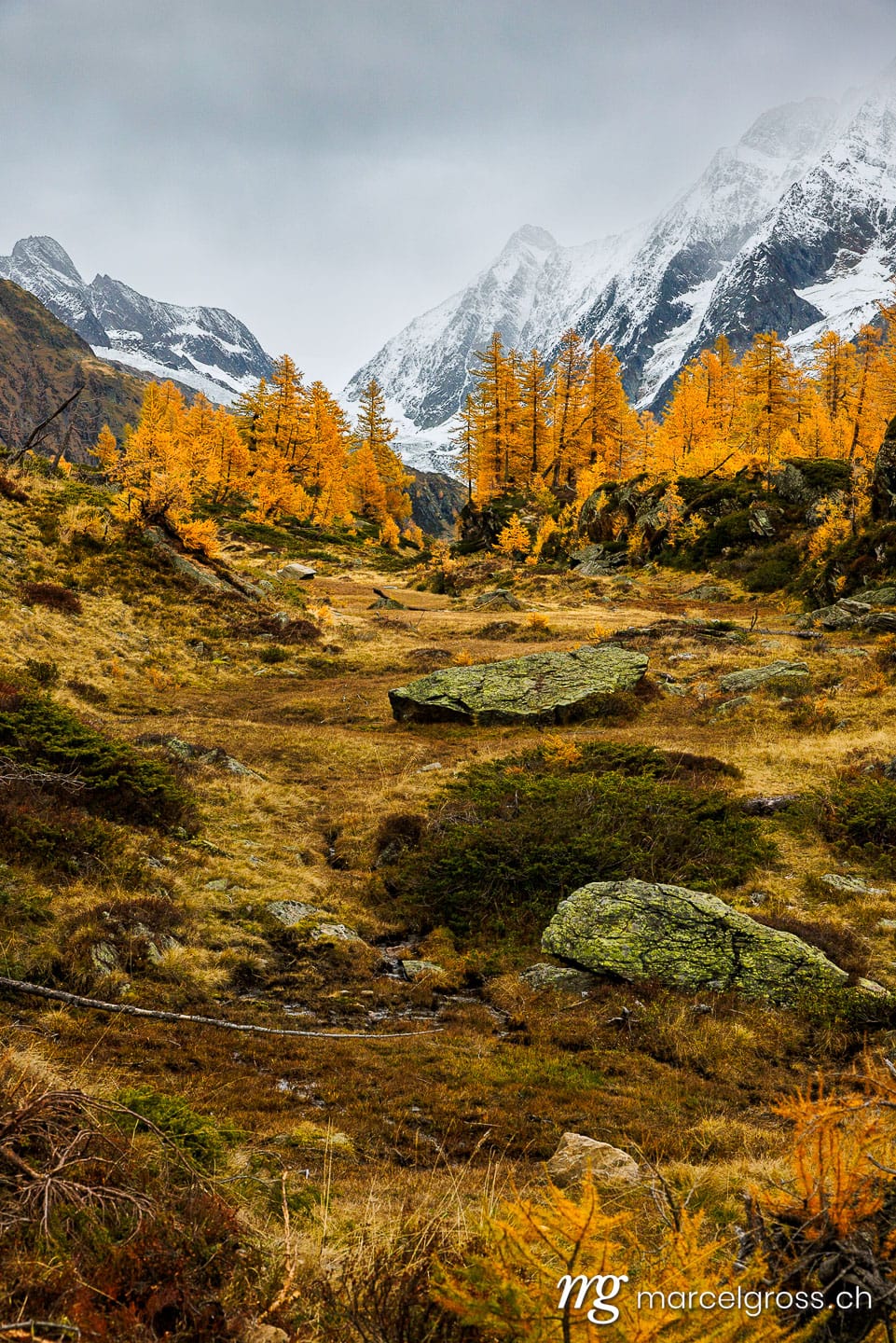 Herbstbilder Schweiz. Goldene Lärchen im Lötschental. Marcel Gross Photography