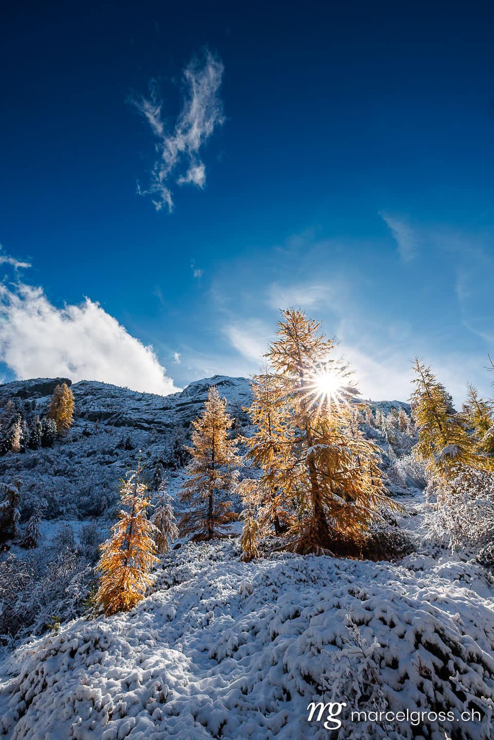 Herbstbild Schweiz. larches in first snow in Engadin, Switzerland. Marcel Gross Photography