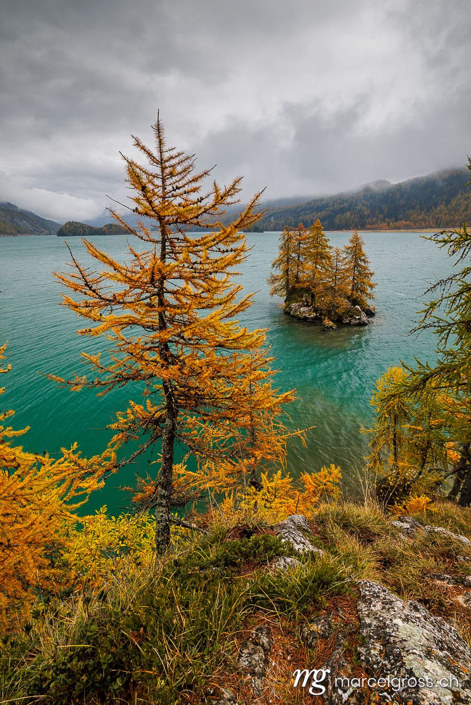 Graubünden Bilder. autumn mood a Lake Sils. Marcel Gross Photography