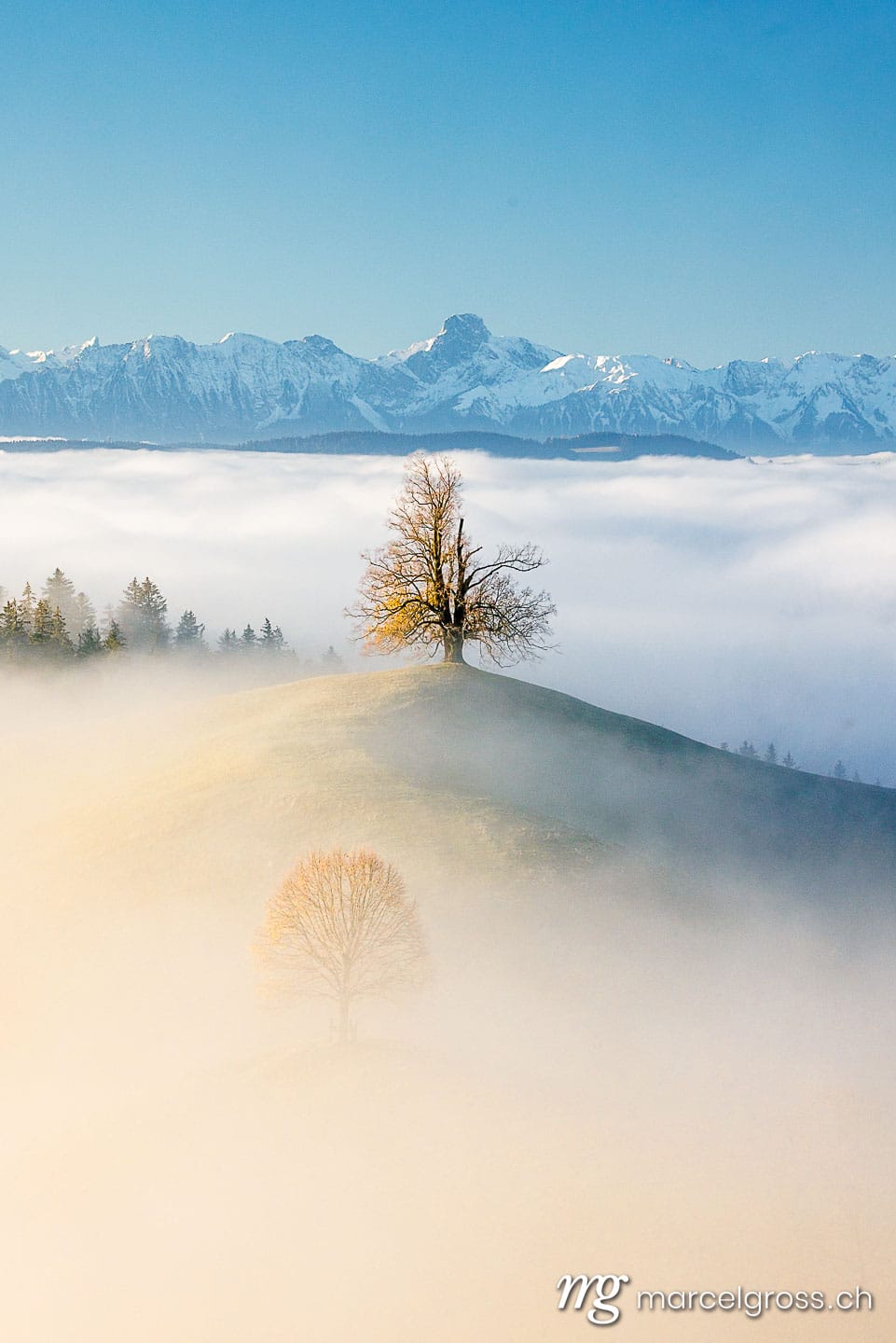 Herbstbild Schweiz. Nebelschwaden im Herbst im Emmental. Marcel Gross Photography