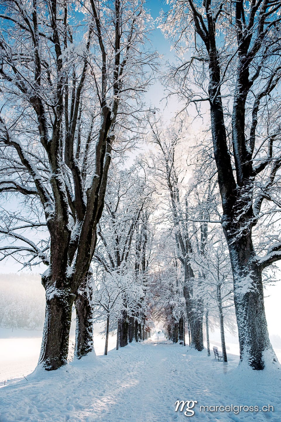 Winter picture Switzerland. . Marcel Gross Photography
