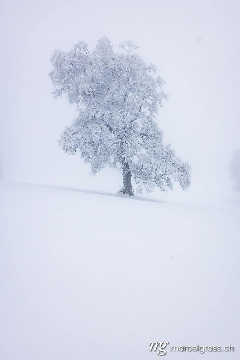 Winter picture Switzerland. . Marcel Gross Photography