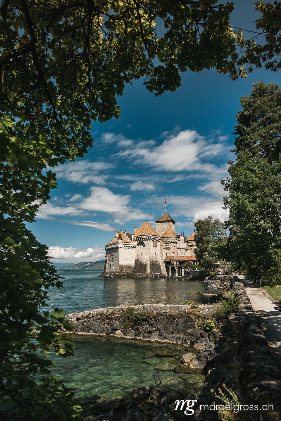Chateau de Chillon framed by a tree in summer.  (c) Marcel Gross Photography