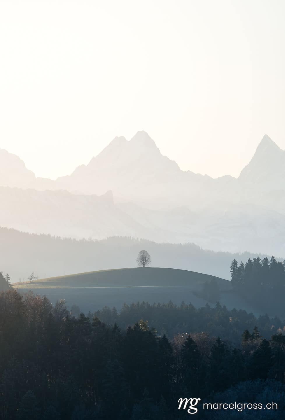 . impressive Schreckhorn with peak in front a cold autumn morning. Marcel Gross Photography